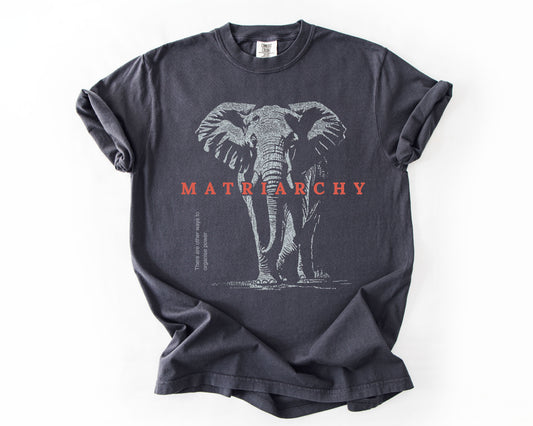 Graphite t-shirt with elephant graphic – elephant graphic tee
