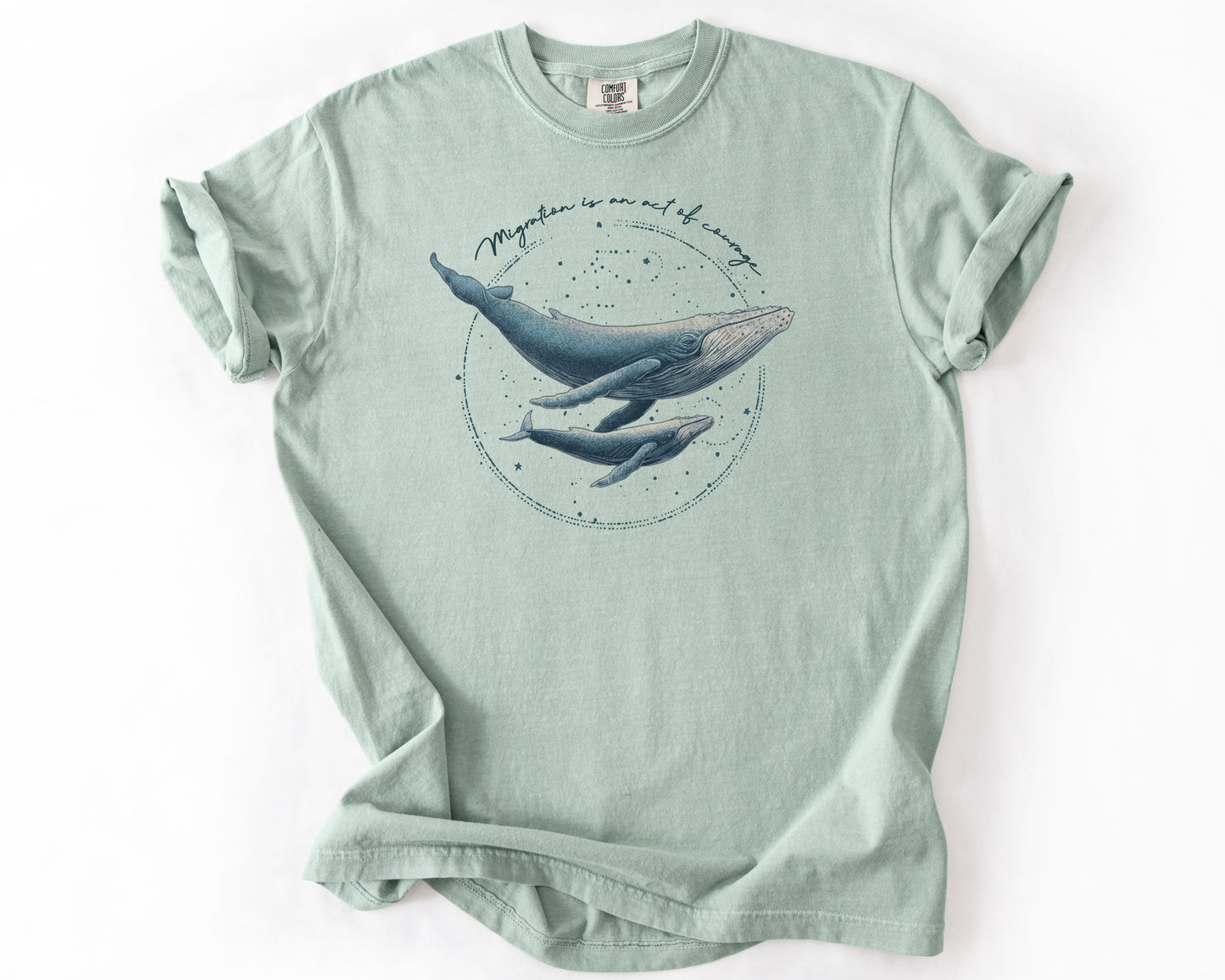 Bay t-shirt with migration whale graphic – migration shirt