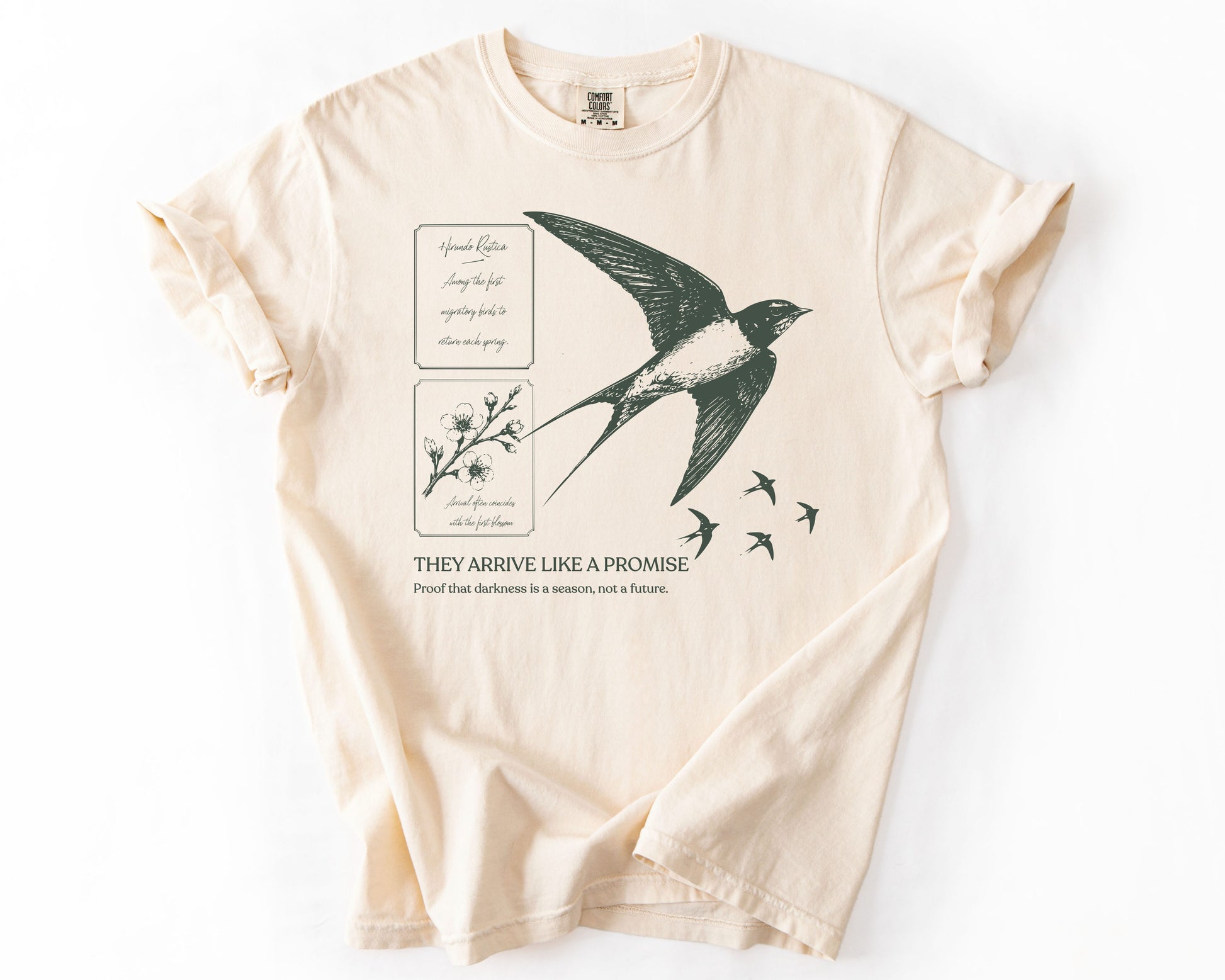 Ivory t-shirt with bird graphic – resilience shirt
